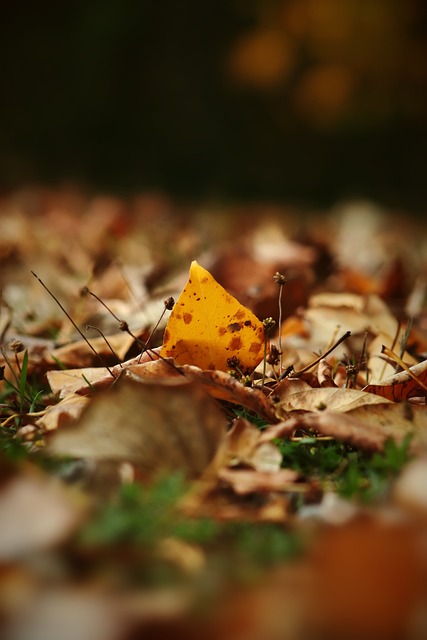 以进一步提 以进一步提