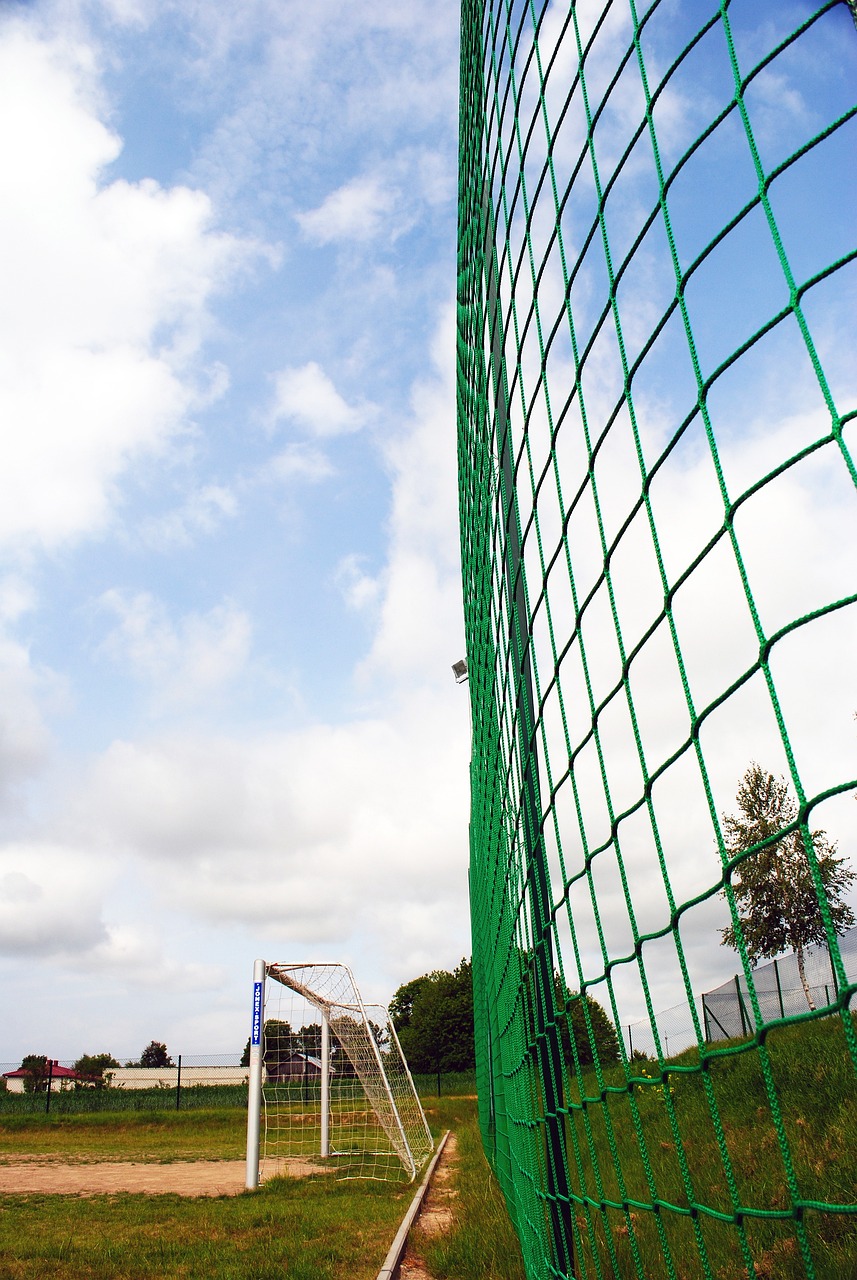 他们不仅展 他们不仅展